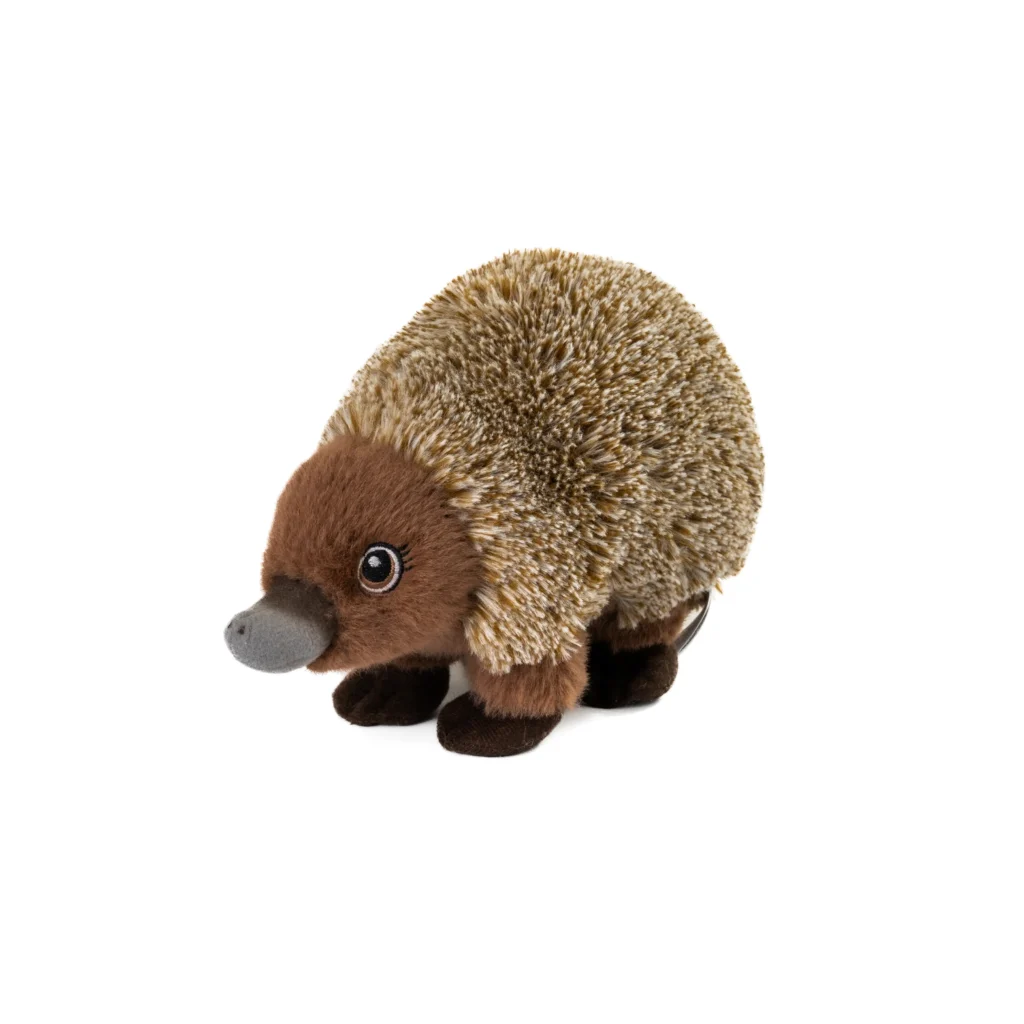 Cute Soft Toy Photography