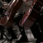 Celloist