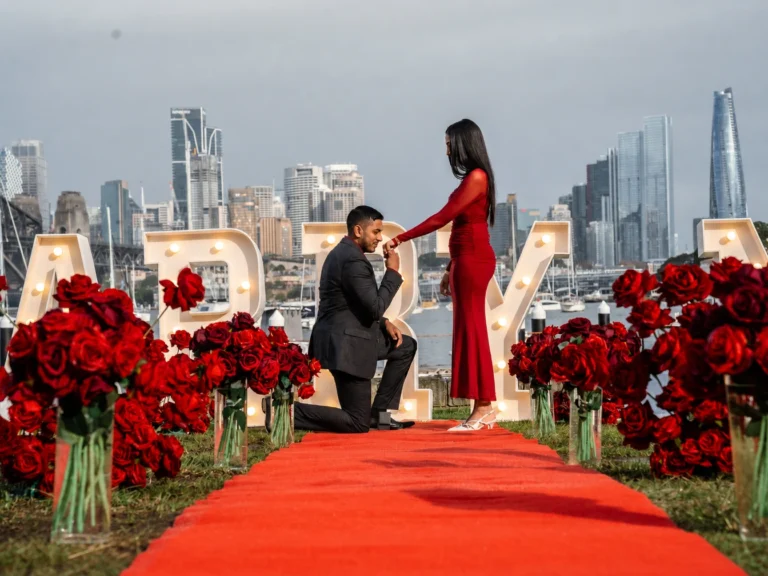 Exclusive Pro Proposal Package