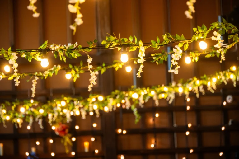 Silk Vines