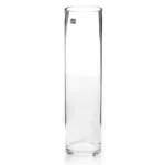 Tall clear glass cylinder vase isolated on plain white background.