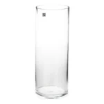 Tall slender clear glass cylinder vase isolated on white background.