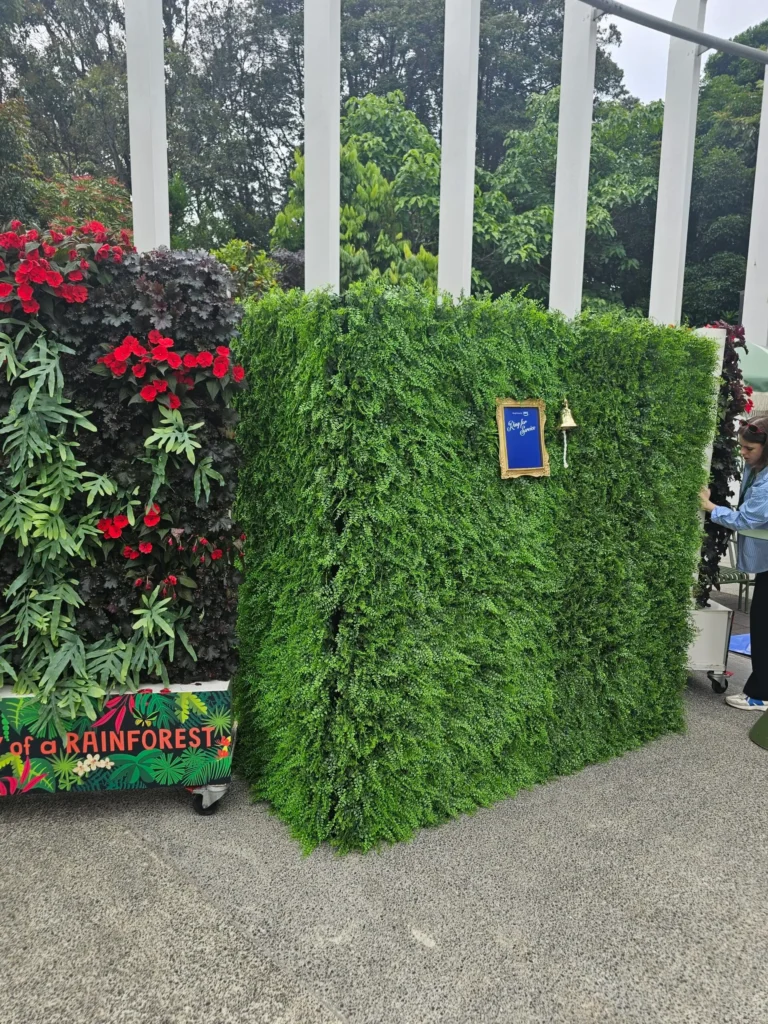 Live Champagne Walls