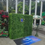 Outdoor hedge backdrop wall with white umbrella nearby