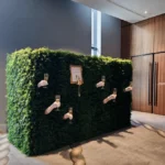 Green hedge wall setup inside a bright indoor venue