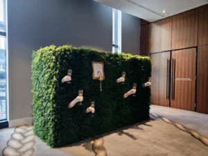 Live Champagne Walls