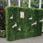 LGreen hedge wall with small hanging lights and framed signs
