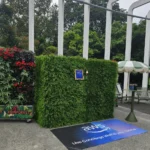 Outdoor hedge backdrop wall set up near white pillars